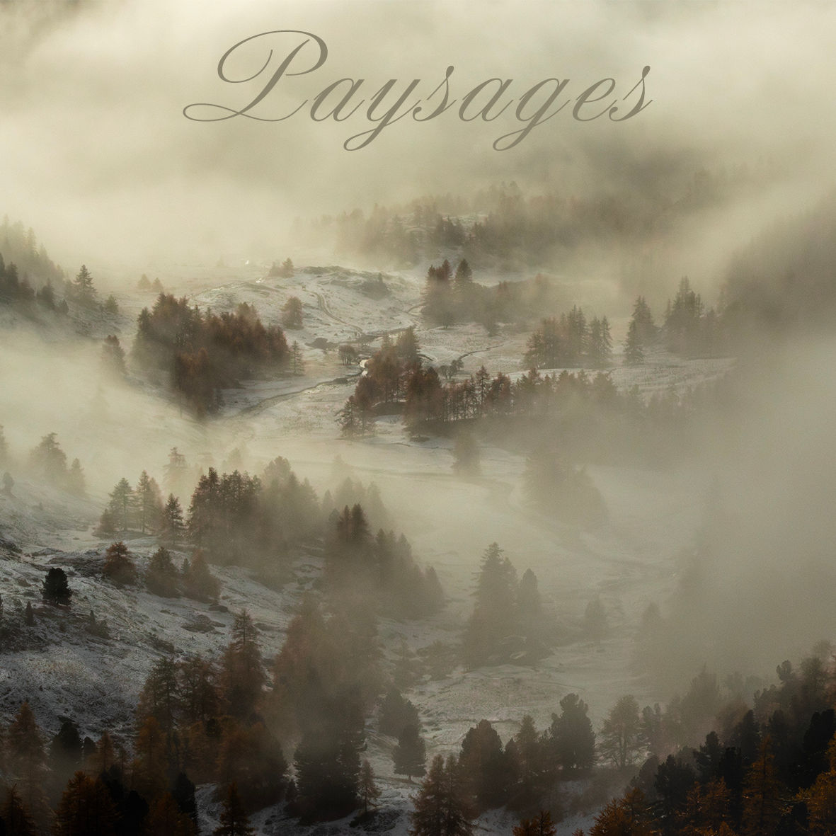 Cadres Paysages