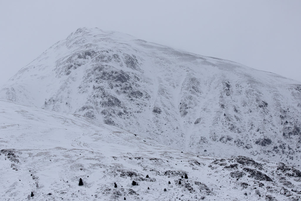 Jour Blanc