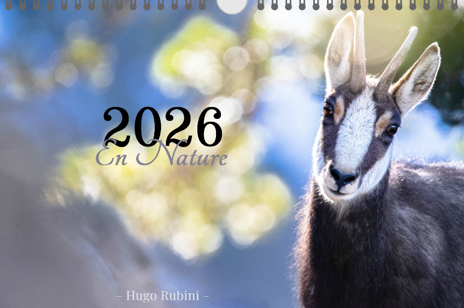 Calendrier 2026